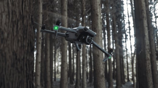 10 Examples of Forest Conservation Using Drones