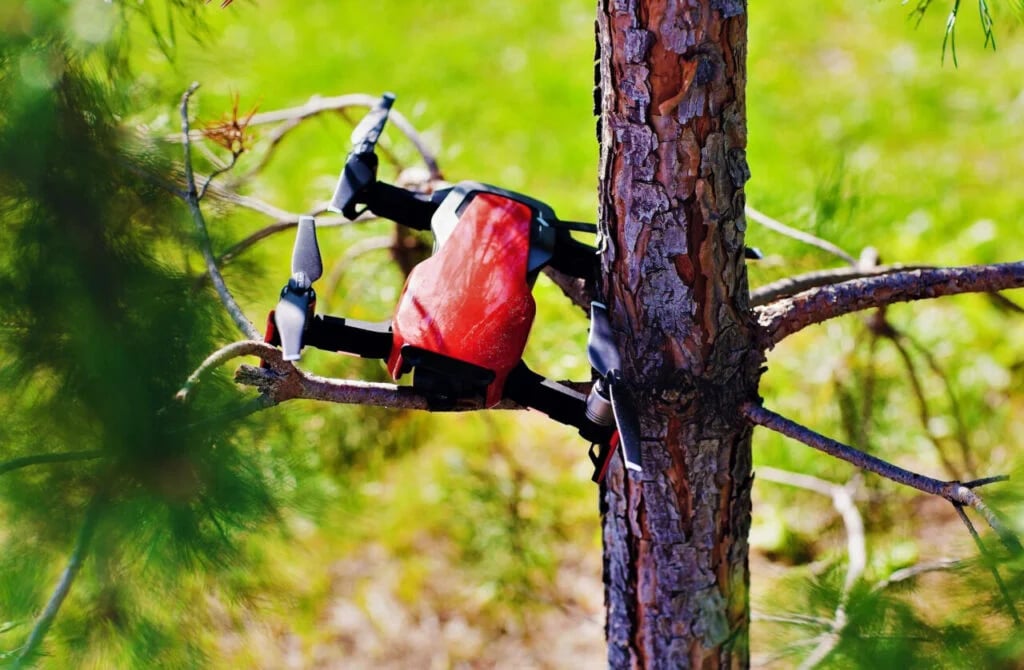 drone stuck in tree